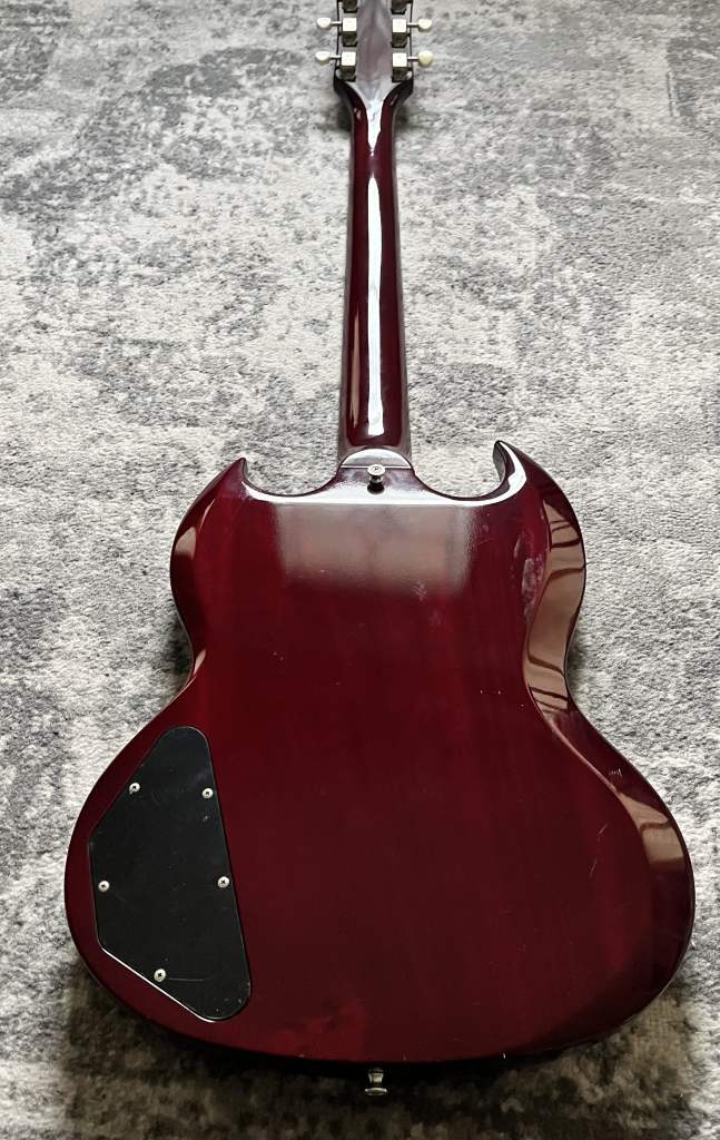 2013 EdwardsE-SG-90LT2/P back